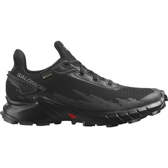 Salomon Alphacross 4 GTX W